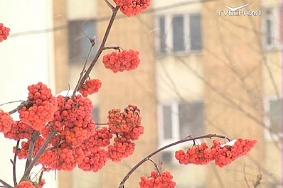 Снегопад не долго будет радовать жителей Самарской области