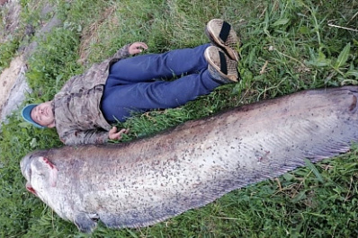 Удачный улов: в Волге рыбак поймал сома весом больше 100 кг