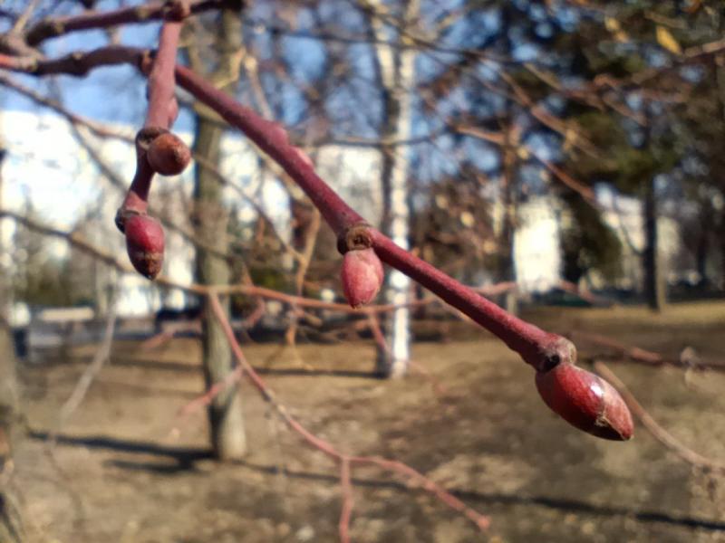 В Самарской области 27 марта будет +14 °С