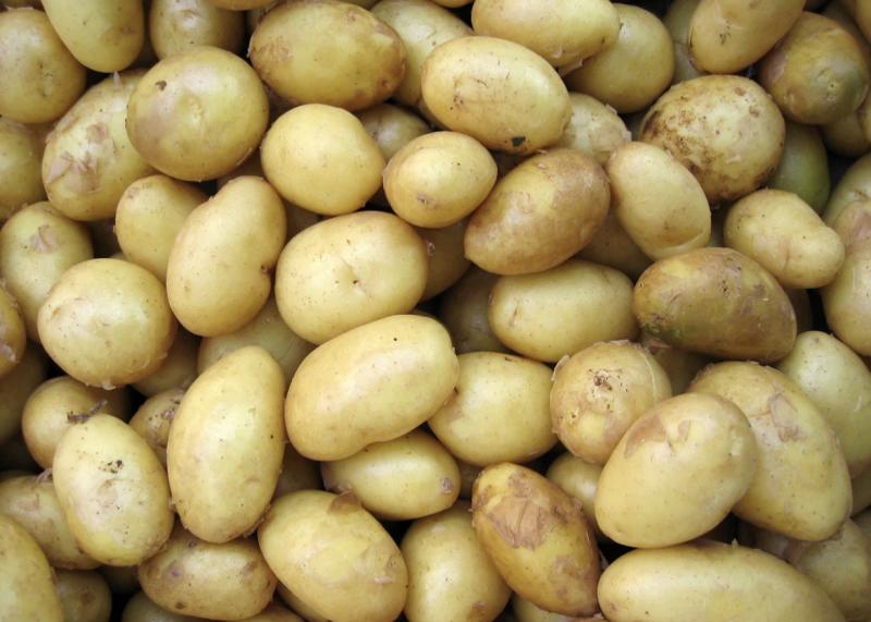 Врач-эндокринолог: картофель нужно употреблять в меру