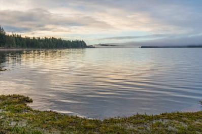 В Самарской области в озере утонул 14-летний мальчик