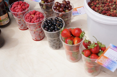 Диетолог Вера Долгих рассказала, чем полезна малина