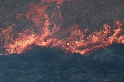 Пожар на острове Зелененький в Самаре уничтожил 3 гектара