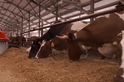 В Самарской области работодателям сельскохозяйственной отрасли возместят до 90 % затрат на обучение студентов