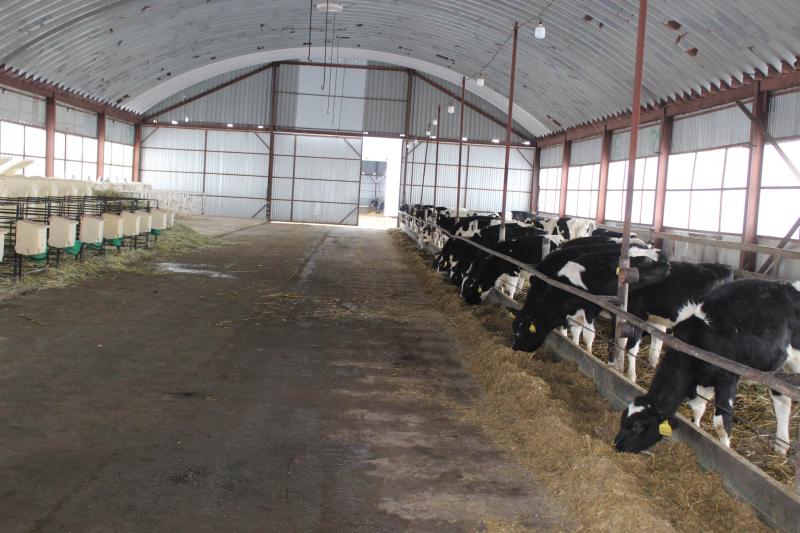 Рациональная продуктивность: как найти "совершенную модель" на молочной ферме