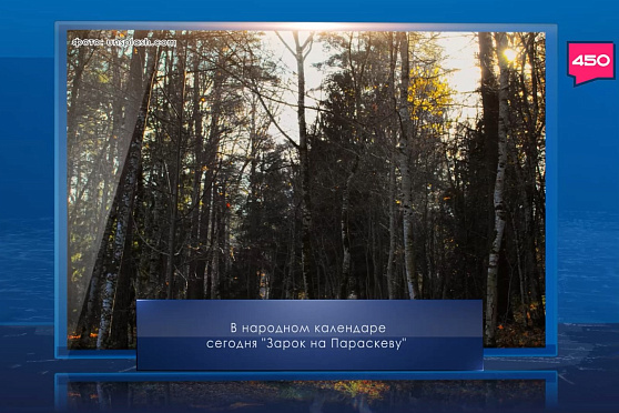 Зарок на Параскеву. Календарь Губернии от 9 ноября