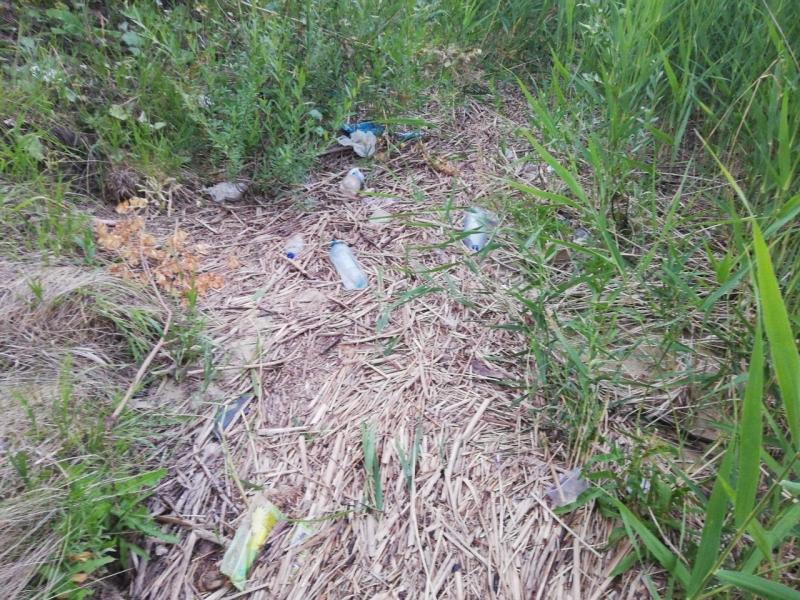 Несколько мешков "добычи" удалось собрать на рыбалке жительнице Сызрани