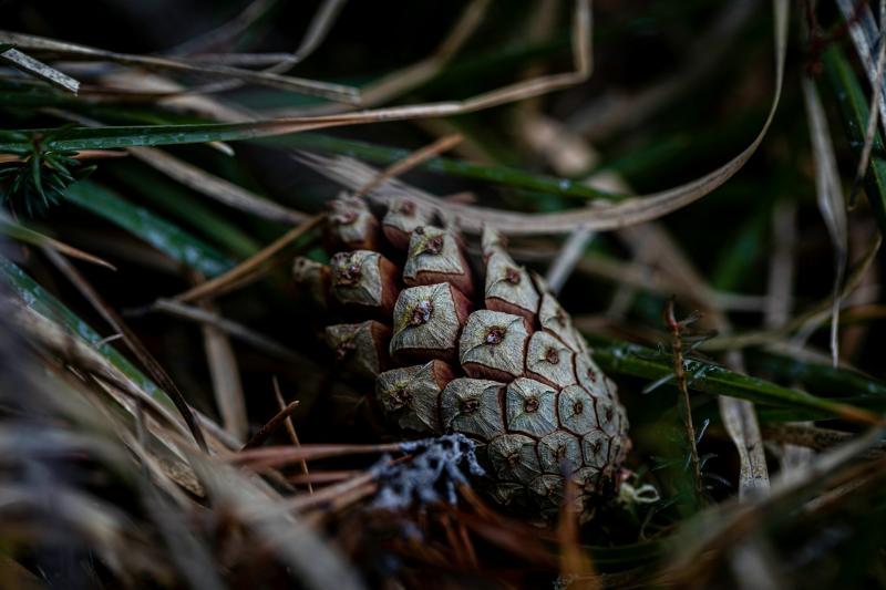 Погода на 20 сентября 2025 года: народные приметы и прогноз синоптиков