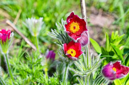 Название статьи