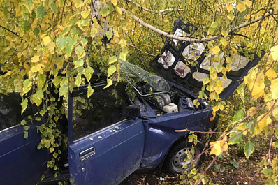 В Октябрьске водитель "пятёрки" влетел в дерево и отправился в больницу