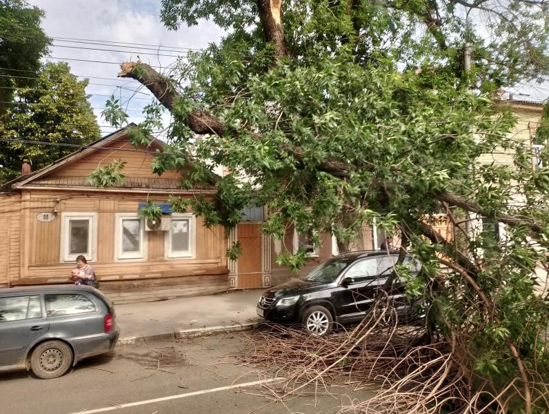 Движение встало: 13 июня в историческом центре Самары упало дерево