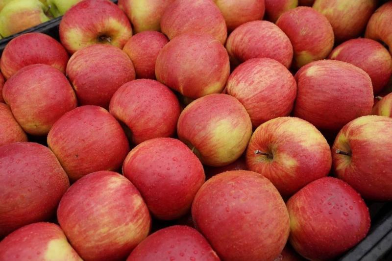 В Самарской области сварили яблочное варенье для пациентов госпиталя