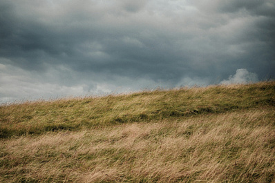 На Самарскую область 23 мая обрушится сильный ветер