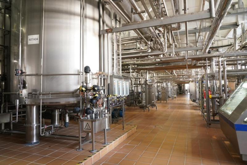 В Самарской области планируется к запуску инвестиционный проект по выпуску растительных напитков