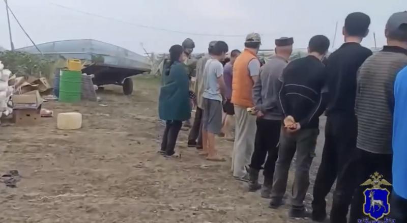 В Самарской области с помощью БПЛА обнаружили незаконно работающих иностранцев 