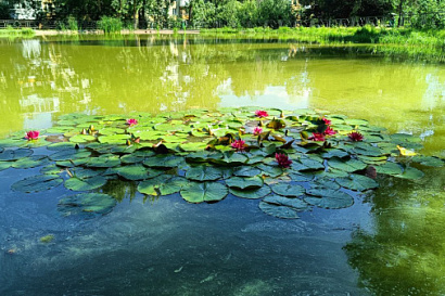 Название статьи