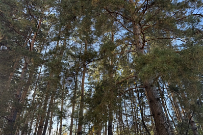 Народные приметы на 4 октября 2024 года: что нельзя делать в этот день