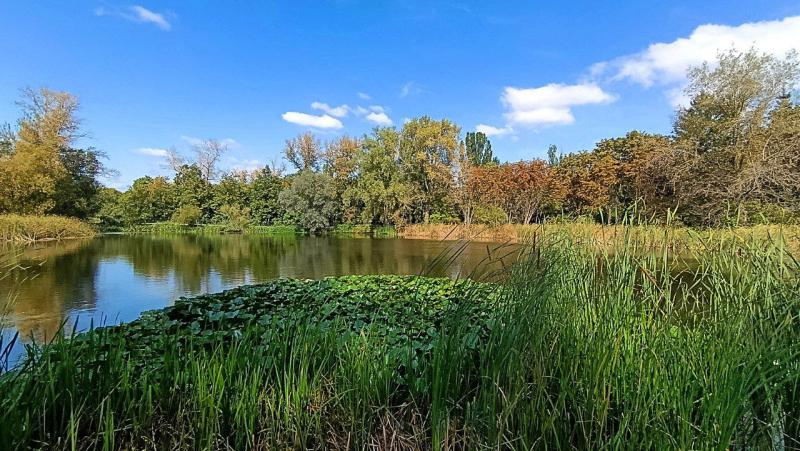 В Самаре 8 сентября будет тепло