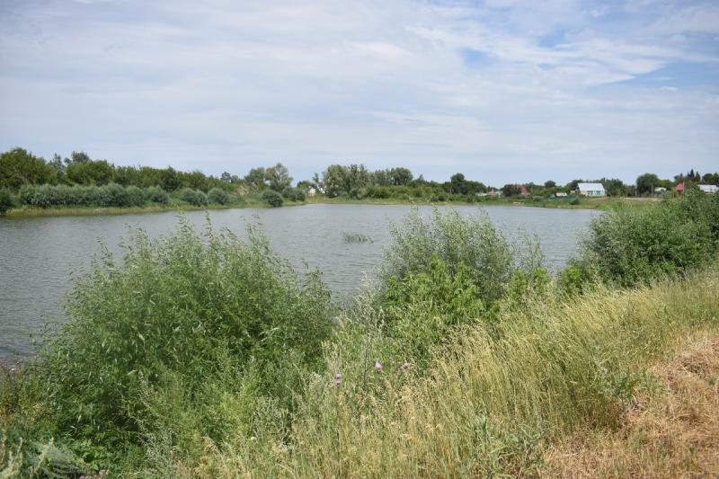 В селе Утевка Нефтегорского района благодаря активным жителям спасено озеро Приказное