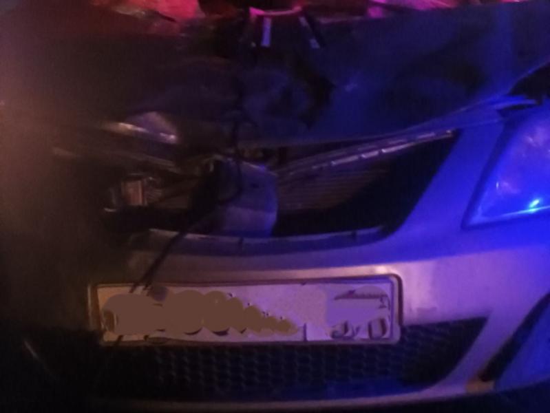 В Самарской области лось выбежал на трассу и попал под колеса "Ларгуса"