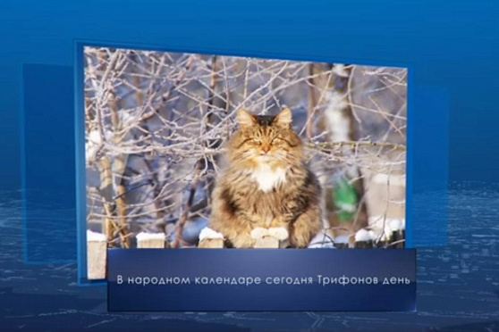 Трифонов день. Календарь губернии 28 декабря