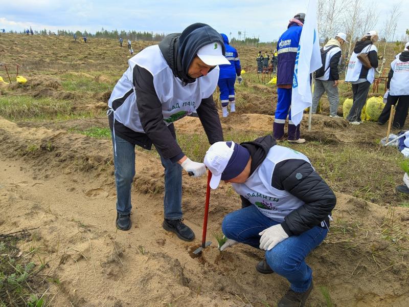 Для будущих поколений: в Самарской области посадили лес в память о погибших соотечественниках