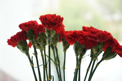 В Рощинском откроют мемориальный комплекс "Парк Памяти" 15 ноября