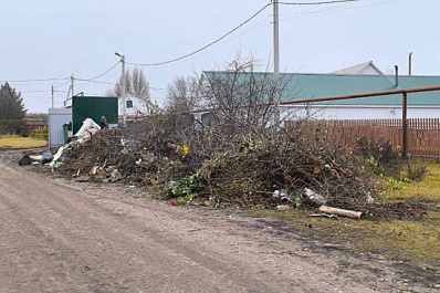 В селе Кошки после вмешательства прокуратуры ликвидировали свалку