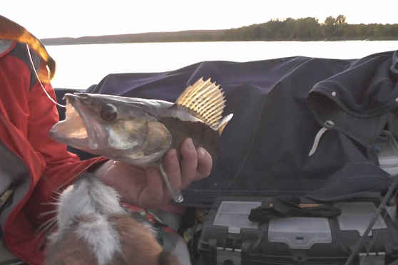 Рыбалка в сентябре. Рыбацкое счастье