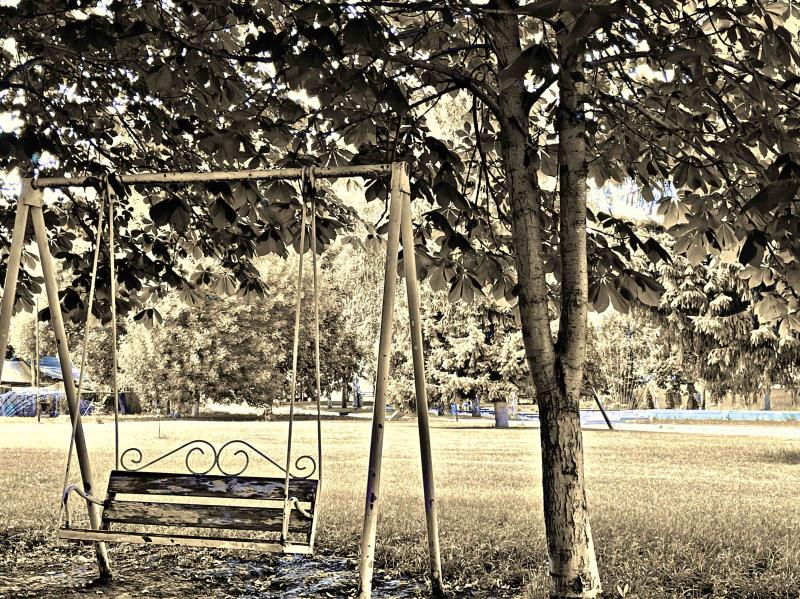 Стало известно, когда в Самару придет холодная осенняя погода