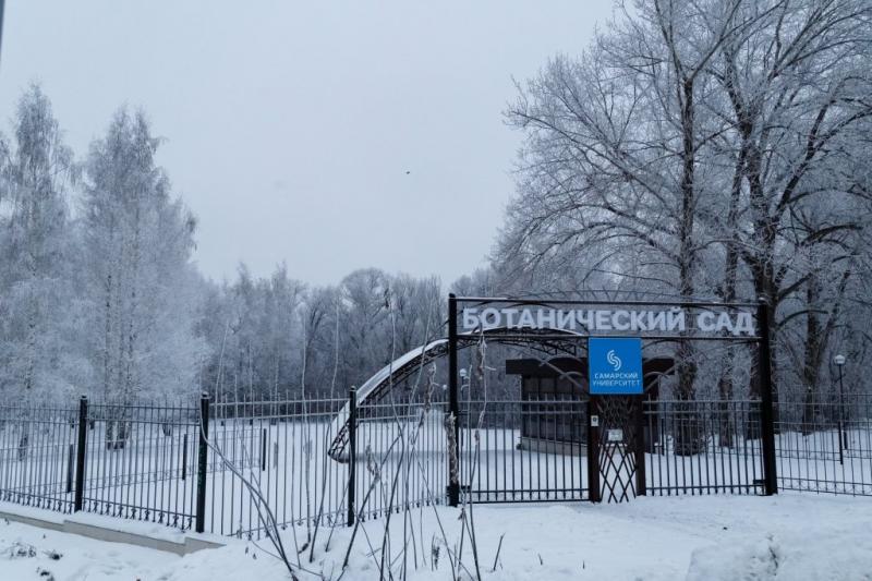 Ботанический сад в Самаре закрывается на зимние каникулы