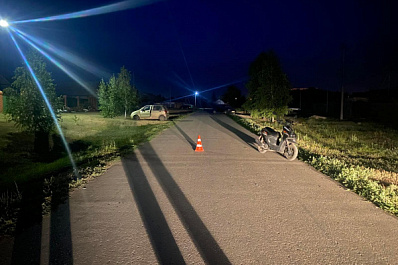 В Самарской области женщина на скутере сбила собаку и попала в больницу