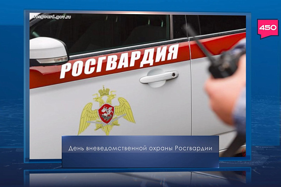 День образования подразделений вневедомственной охраны Росгвардии. Календарь Губернии от 29 октября