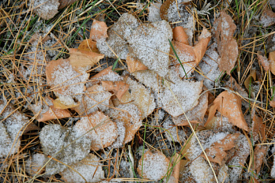 Погода на 18 октября 2024 года: народные приметы и прогноз синоптиков
