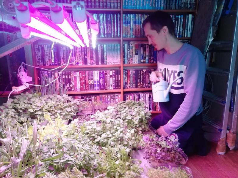 Как безработный тольяттинец открыл свой бизнес по выращиванию микрозелени через Центр занятости