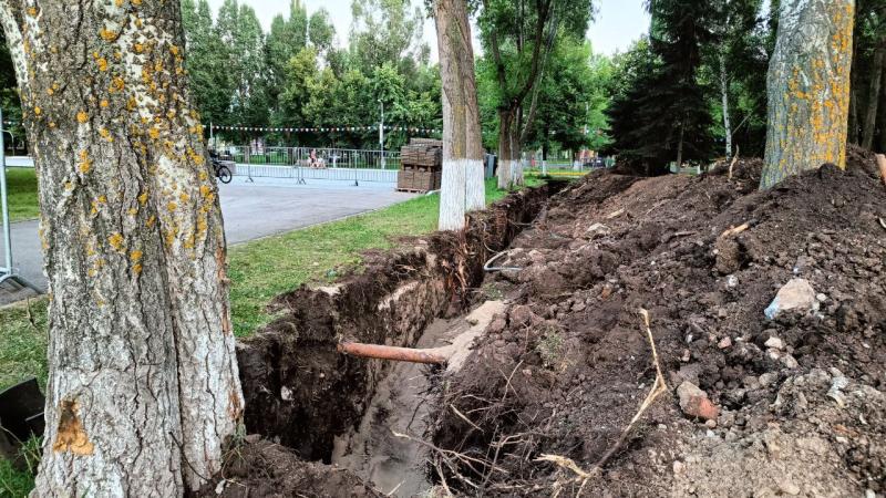 Самарцы обеспокоились судьбой деревьев в парке Победы