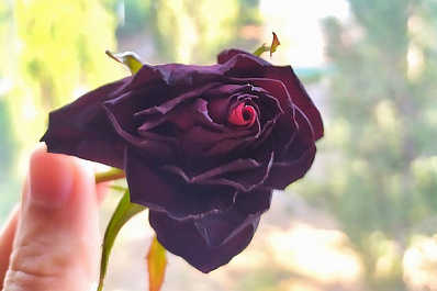 В Самаре женщина на День матери получила траурный букет