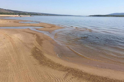 Не хватило кислорода: специалисты назвали причину замора рыбы в Тольятти