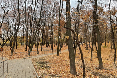 Синоптики рассказали о погоде в Самарской области в начале октября