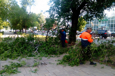 В Самаре во время грозы упали 35 деревьев