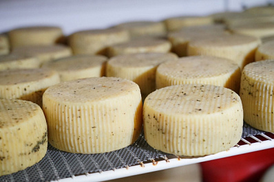 Благодаря социальному контракту жительница Самары открыла собственное производство сыров