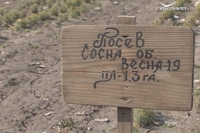 В Самарской области началась подготовка к акции "Сад памяти"