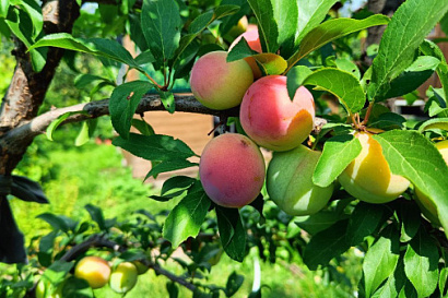 Название статьи