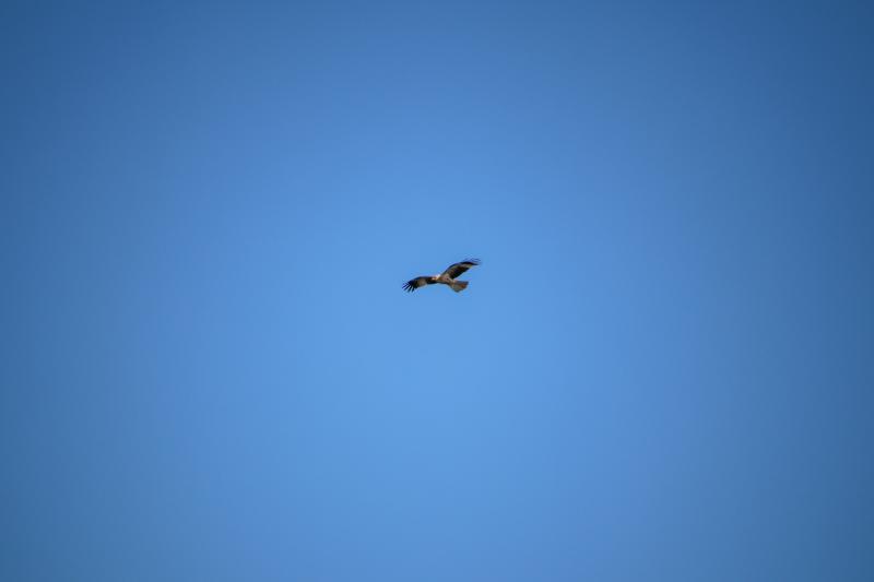 Народные приметы на 26 августа 2025 года: что нельзя делать в этот день