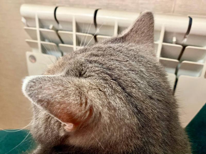 В Самарской области детям-сиротам вернули тепло в квартиры