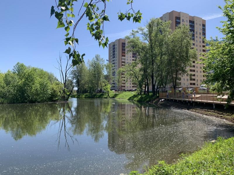 Власти Самары и общественники договорились о расчистке берега системы озер "Дубовый ерик"