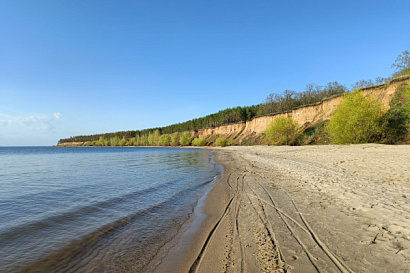 Название статьи