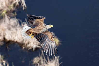 Название статьи