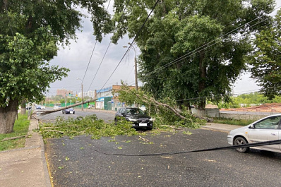 В Самаре троллейбусы пустили в объезд из-за упавшего на провода дерева