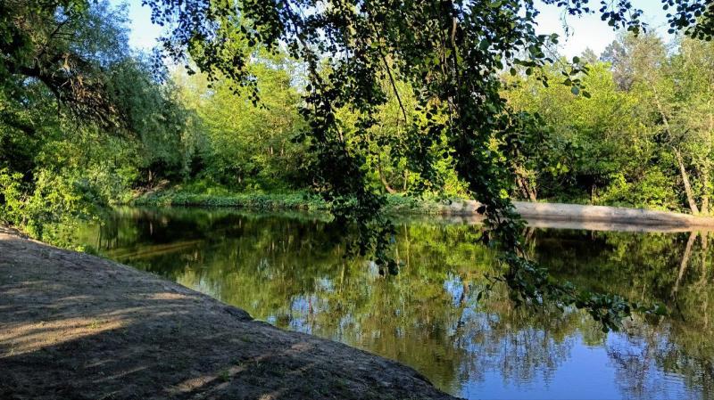 В Чапаевске очистили берега местной речки